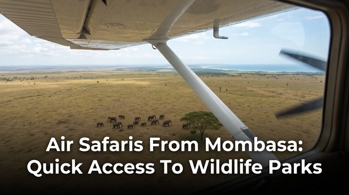 Air Safaris From Mombasa: Quick Access To Wildlife Parks
